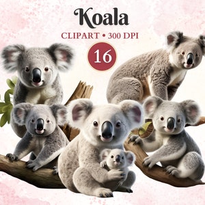 Koala Clipart, Koala acuarela, Pintura de eucalipto, Animales del bosque, Clipart de vida silvestre, Safari Png, Libro de chatarra