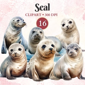 Sello Clipart, Sello Png, Polo Norte, Imágenes Prediseñadas de Animales Árticos, Invierno, Animales del Océano, Vida Silvestre, Libro de Chatarra