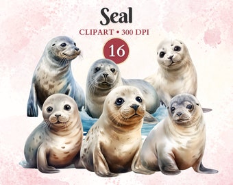 Sello Clipart, Sello Png, Polo Norte, Imágenes Prediseñadas de Animales Árticos, Invierno, Animales del Océano, Vida Silvestre, Libro de Chatarra