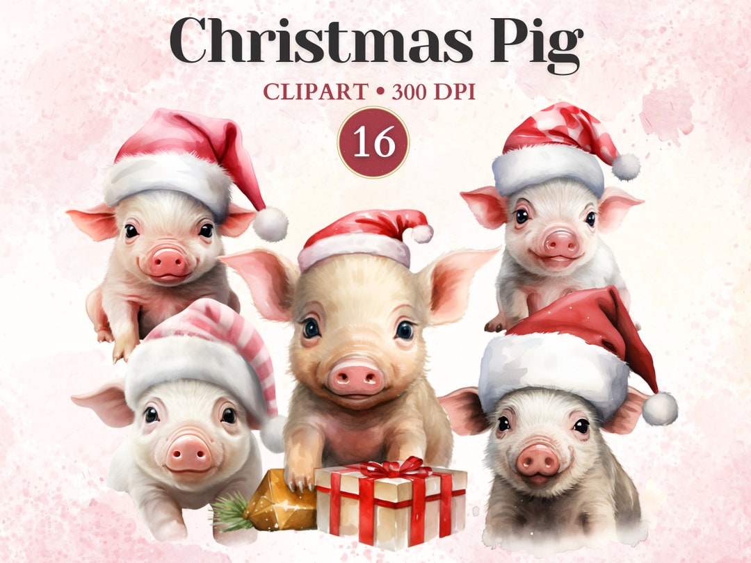 Christmas Pig Clipart Cute Animal Piglet Clipart Piggy - Etsy