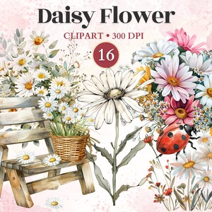 Daisy Flower Clipart, Spring Sublimation, Floral Elements, Flower Vector, Garden Clipart, Daisy Png, Daisy Watercolor