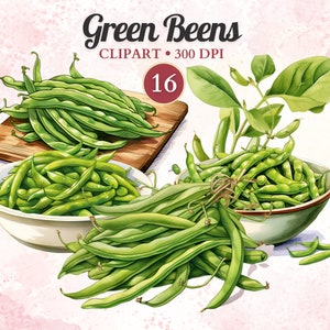 Clipart Haricots verts, Aquarelle, Légumes Png, Alimentation saine, Végétarien, Végétalien, Salade, Végétarien, Jardin, Ferme, Agriculture