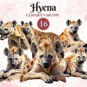 Clipart iena, clipart safari, clipart animali dello zoo, savana, animali africani, adesivo iena, Png trasparente