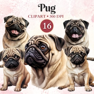 Imágenes Prediseñadas de Pug, silueta de Pug, imágenes prediseñadas de silueta de perro, gráficos de mascotas, vector de perro, gráficos de animales, libro de recortes