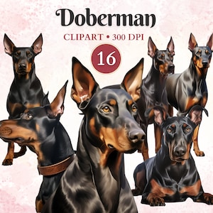 Imágenes Prediseñadas de Doberman, imágenes prediseñadas caninas, vectores de Doberman, imágenes prediseñadas de silueta de perro, gráficos de mascotas, arte vectorial de perros, libro de recortes