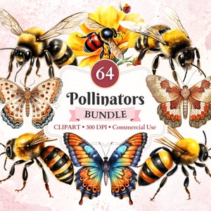 Pacchetto di clipart di impollinatori, clipart di insetti, silhouette, entomologia, vettore di animali, natura, illustrazione scientifica, uso commerciale