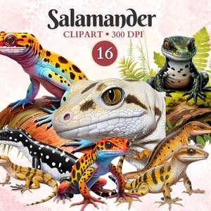Salamander Clipart, Salamander Png, Salamander Vector, Amphibian Clipart, Swamp, Pond, Animal Vector, Herpetology