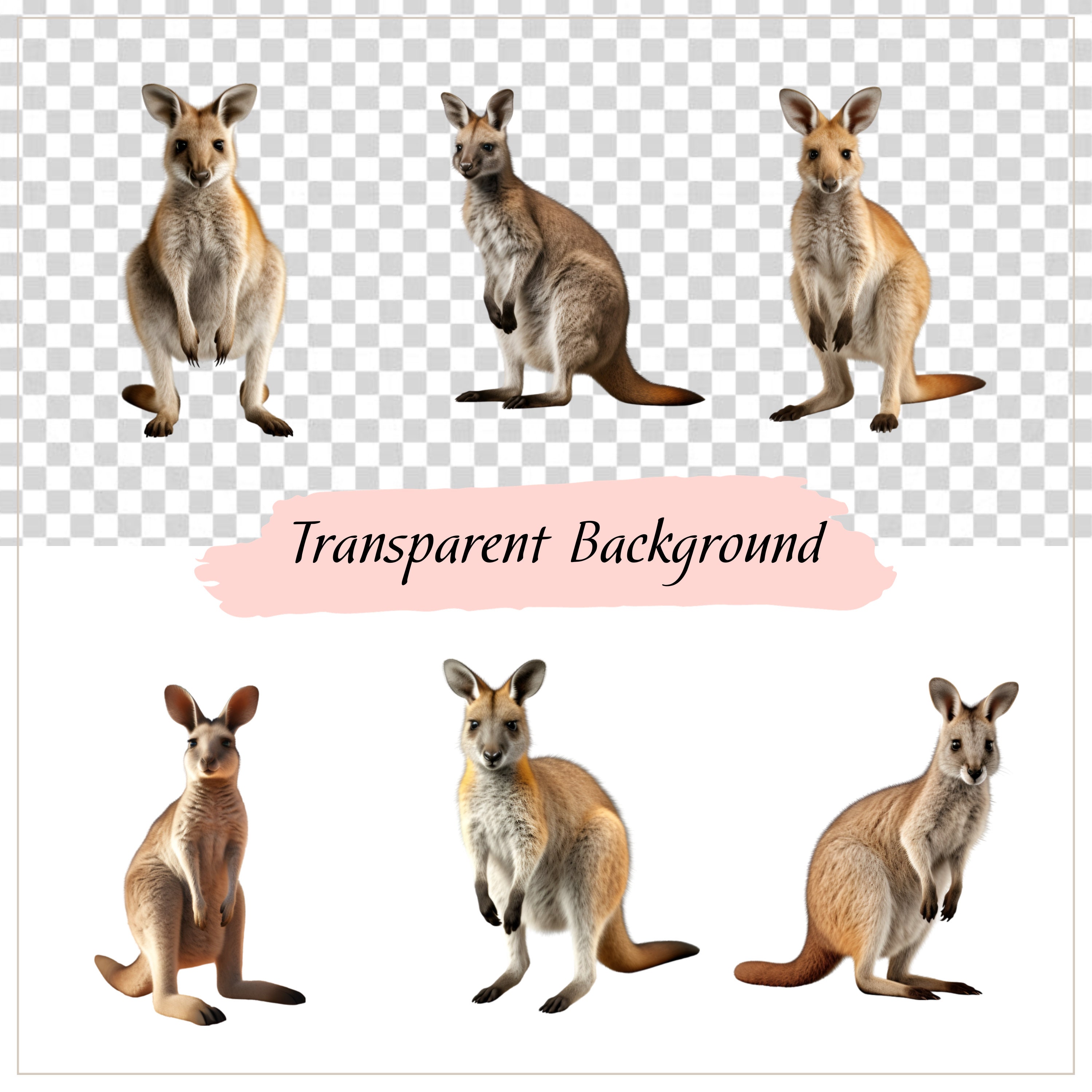 Wallaby Vector Wallaby Clipart, Wild Animals, Wallaby Vector, Kangaroo Clipart ...