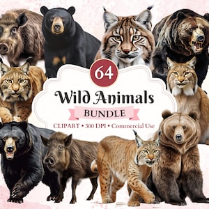 Paquete de imágenes prediseñadas de animales salvajes, oso negro, grizzly, lince png, jabalí, imágenes prediseñadas de vida silvestre, bosque png, uso comercial