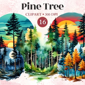Clipart albero di pino, albero di pino acquerello, grafica avventurosa, Png all'aperto, clipart Wilderness, Wanderlust Png