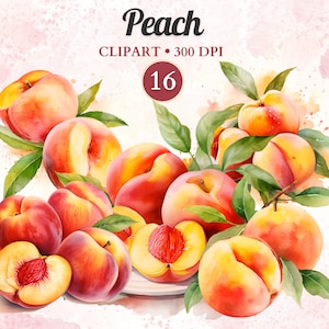Peach Clipart, Watercolor Peach, Summer Vibes, Sweet Delight, Agriculture Clipart, Transparent Png, Scrap Book