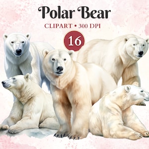 Imágenes Prediseñadas de oso polar, Oso Polar Png, Polo Norte, Imágenes Prediseñadas de animales árticos, animales de invierno, vida silvestre, océano, libro de chatarra