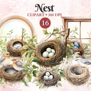 Clipart de ninho de pássaro, ninho png, nidificação de pássaro, clipart de pássaro, casa de pássaro, primavera, imagem de ninho de pássaro, vetor de pássaro, vetor de animal