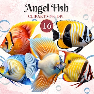 エンゼルフィッシュのクリップアート、魚のPNG、エンゼルフィッシュ、水族館のクリップアート、海中のPNG、家畜、水生動物