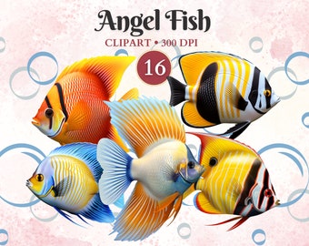 Angel Fisch Clipart, Fisch Png, Kaiserfisch, Aquarium Clipart, Unter Dem Meer Png, Haustiere, Wassertiere