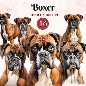 Imágenes Prediseñadas de Boxer, perro Boxer, imágenes prediseñadas de silueta de perro, gráficos de mascotas, arte vectorial de mascotas, gráficos de animales, libro de recortes