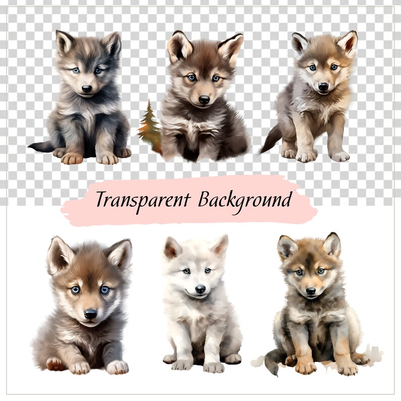 Baby Wolf Clipart, Wolf Vector, Forest Animal, Woodland Animal, Nursery