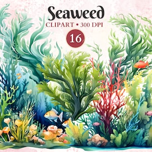 Zeewier clipart, zeewier png, aquarel, oceaan clipart, oceaanleven, onder de zee, zeeleven, natuur, onderwaterscène