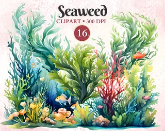 Seaweed Clipart, Seaweed Png, Watercolor, Ocean Clipart, Ocean Life, Under the Sea, Marine Life, Nature, Underwater Scene