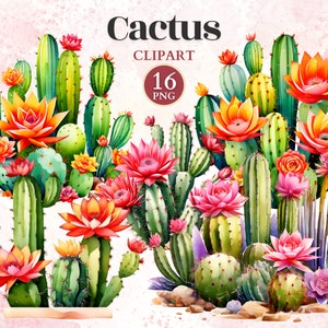Clipart Cactus, Images De Cactus, Graphiques De Jardin, Designs De Jardin, Icônes De Jardinage, Clipart Terrarium, Aquarelle De Cactus