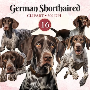 Imágenes Prediseñadas de puntero alemán de pelo corto, perro de caza, gráficos de mascotas, vector de perro, imágenes prediseñadas caninas, libro de chatarra