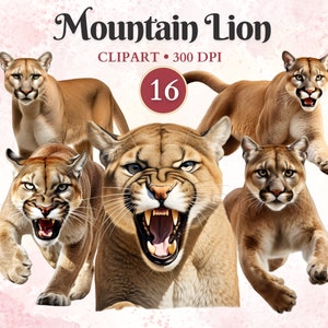 Clipart Mountain Lion, animaux sauvages, clipart couguar, couguar, animaux de la forêt, album de coupures