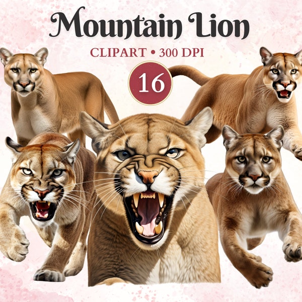 Mountain Lion Clipart, Wild Animals, Cougar Clipart, Mountain Lion, Woodland Animals, Scrap Book