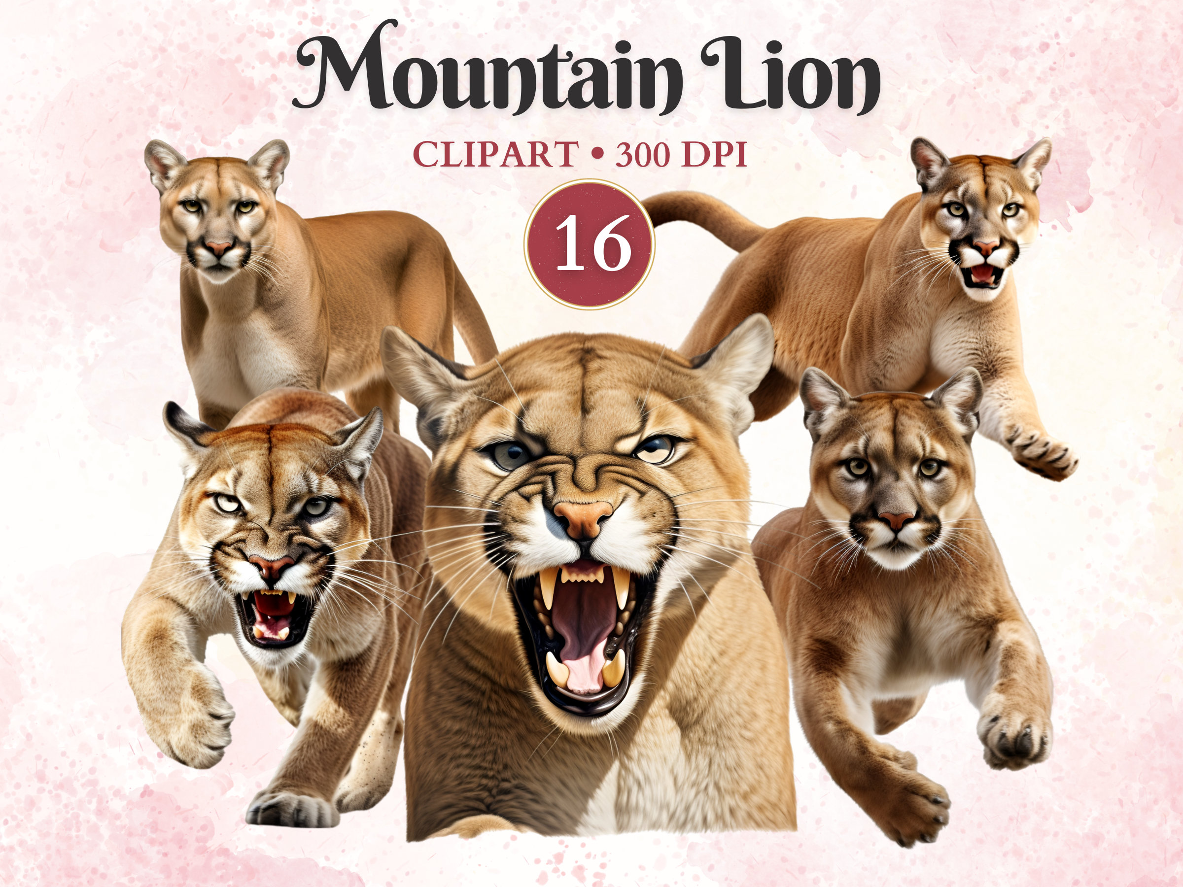 Mountain Lion Clipart, Wild Animals, Cougar Clipart