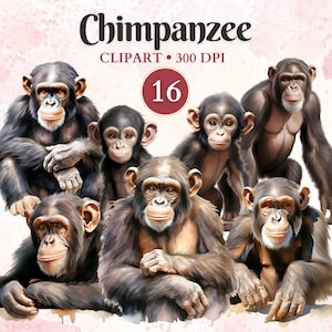 Peut inclure: Un groupe de 7 chimpanzés, certains assis, d'autres debout, tous regardant la caméra. Les chimpanzés sont bruns et noirs avec du poil blanc autour de la bouche. L'image est une illustration numérique avec un fond aquarelle.