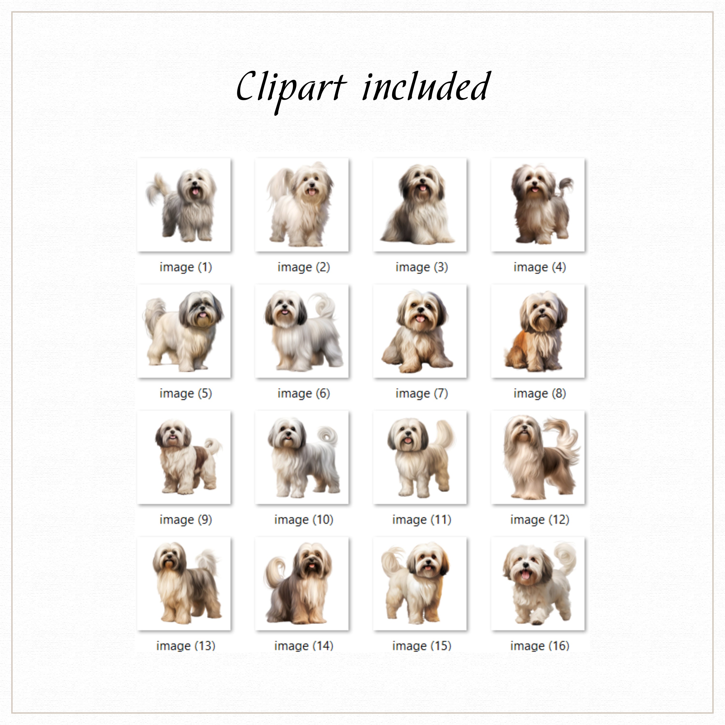 Lhasa Apso Clipart, Lhasa Apso Png, Dog Breed Png, Pet Graphics, Dog ...