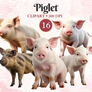Imágenes Prediseñadas de cerdo, arte digital de cerdo bebé, animales domésticos, imágenes prediseñadas de cerdo, gráficos de mascotas, gráficos de animales, libro de chatarra