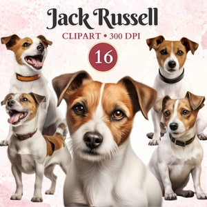 Imágenes Prediseñadas de Jack Russell, Jack Russell Terrier, gráficos de mascotas, arte vectorial de perros, gráficos de animales, imágenes prediseñadas de perros pequeños, libro de chatarra