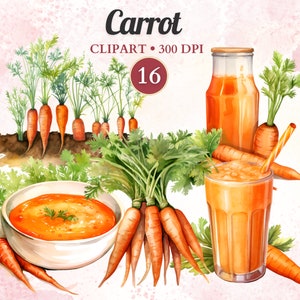 Clipart Carottes, Aquarelle, Légumes Png, Alimentation Saine, Végétal, Végétalien, Salade, Végétarien, Jardin, Ferme, Agriculture