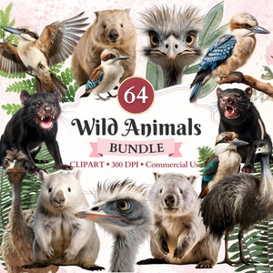 Paquete de imágenes prediseñadas de animales salvajes, Wombat, demonio de Tasmania, Kookaburra, imágenes prediseñadas de aves Emu, vida silvestre, uso comercial