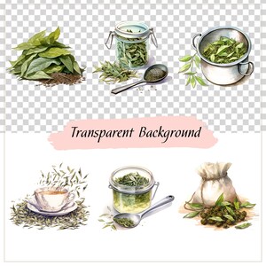 May include: A watercolor illustration of various ways to store and prepare loose leaf tea. The illustration shows a pile of green tea leaves, a glass jar filled with tea leaves, a metal strainer with tea leaves, a cup of tea with steam rising from it, a glass jar with tea leaves and a spoon, and a white cloth bag filled with tea leaves.