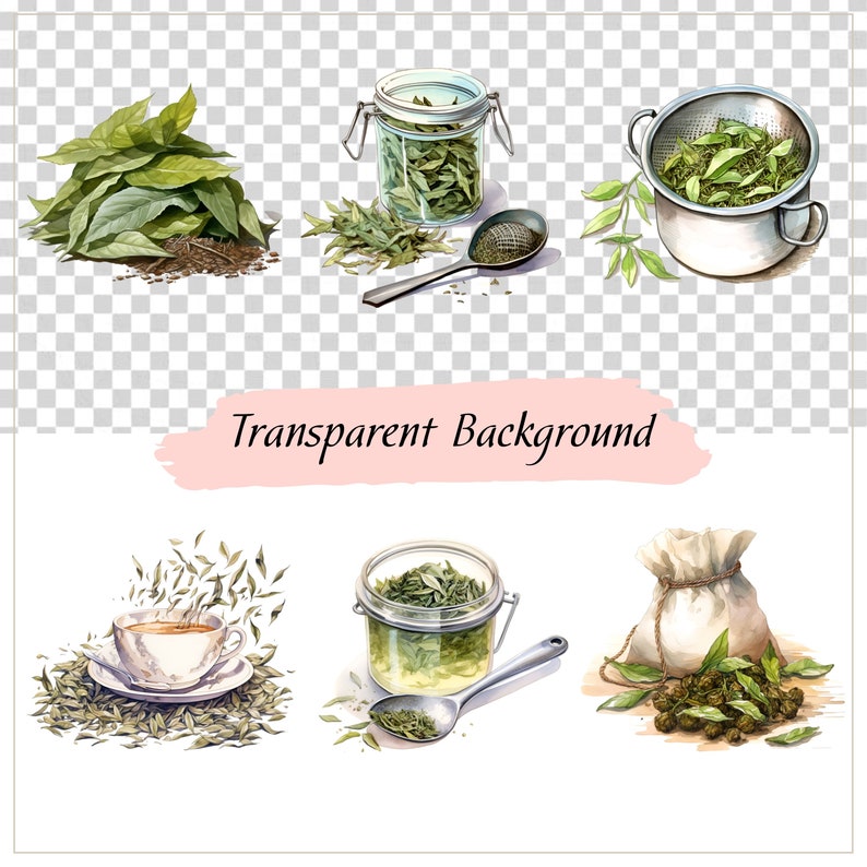 May include: A watercolor illustration of various ways to store and prepare loose leaf tea. The illustration shows a pile of green tea leaves, a glass jar filled with tea leaves, a metal strainer with tea leaves, a cup of tea with steam rising from it, a glass jar with tea leaves and a spoon, and a white cloth bag filled with tea leaves.