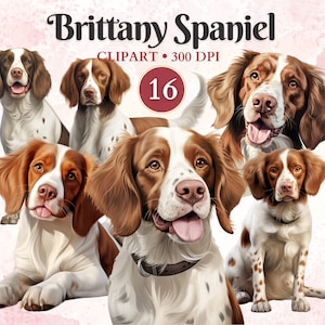 Imágenes Prediseñadas de Spaniel de Bretaña, perro Spaniel de Bretaña, imágenes prediseñadas de silueta de perro, gráficos de mascotas, imágenes prediseñadas caninas, libro de chatarra
