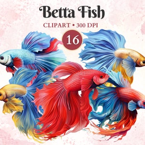 ベタ魚のクリップアート、魚のPNG、水族館のクリップアート、水彩画、家畜、水生動物