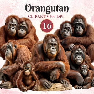 Clipart orang-oetan, aap, orang-oetan png, jungledieren, bosdieren, dieren in het wild clipart, safari png, schrootboek