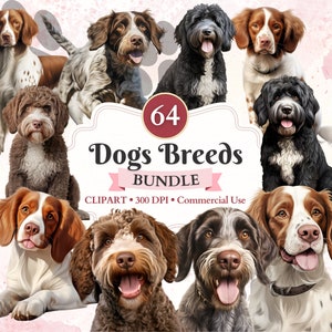 Pacchetto Clipart razze di cani, Lagotto Romagnolo, cane da acqua portoghese, Brittany Spaniel, Grifone a pelo duro, vettore di animali domestici