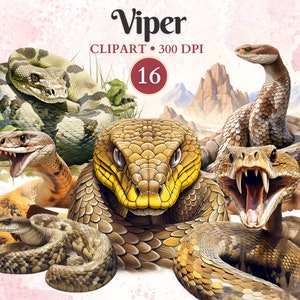 Viper Clipart, Viper Png, Snake Clipart, Snake Png, Serpent Silhouette, Reptile Clipart, Animal Vector, Herpetologia