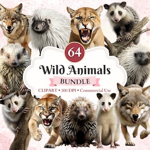 Wildtiere Clipart Bundle, Koyote, Opossum Png, Puma, Stachelschwein, Wildtiere Clipart, Wald Png, kommerzielle Nutzung