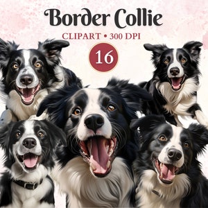 Imágenes Prediseñadas de Border Collie, arte de perro pastoreo, silueta de perro, gráficos de mascotas, arte vectorial de mascotas, imágenes prediseñadas caninas, libro de chatarra