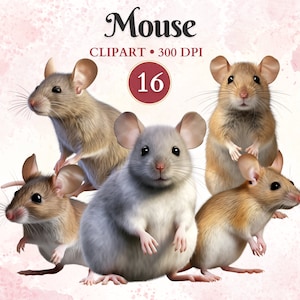 Imágenes Prediseñadas de ratón, animales domésticos, ratón Png, imágenes prediseñadas de roedores, gráficos de roedores, gráficos de animales, libro de recortes
