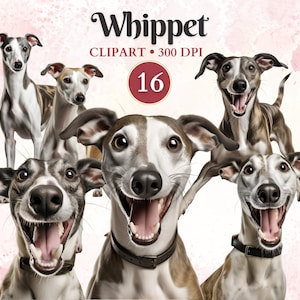 Whippet Clipart, Whippet Png, Clip Art de silueta de perro, gráficos de mascotas, vector de perro, imágenes prediseñadas caninas, libro de recortes