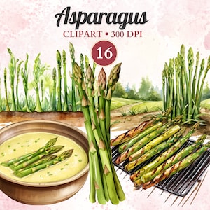 Clipart Asperges, Aquarelle, Légumes Png, Alimentation Saine, Veggie, Végétalien, Salade, Végétarien, Jardin, Ferme, Agriculture