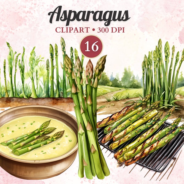 Asparagus Clipart, Watercolor, Vegetables Png, Healthy Food, Veggie, Vegan, Salad, Vegetarian, Garden, Farm, Agriculture