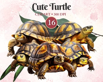 Cute Turtle Clipart, Adorable Turtle Graphics, Tortoise Clipart, Tortoise Png, Reptile Clipart, Domestic Animals
