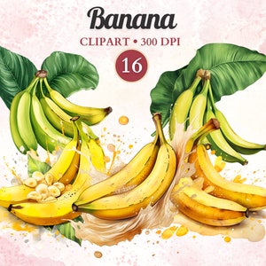 Bananen Clipart, Bananen Illustration, Gesundes Essen Clipart, Tropische Früchte, Exotisches Essen Png, Sommer Vibes, Scrap Buch