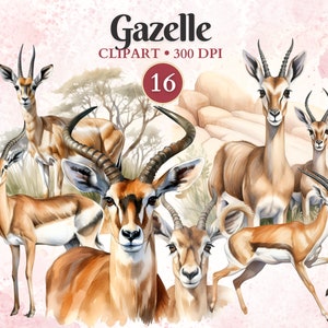 Clipart gazzella, gazzella Png, sagoma gazzella, safari acquerello, clipart animali safari, savana, animale africano